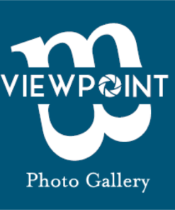 Viewpoint Photo Galley